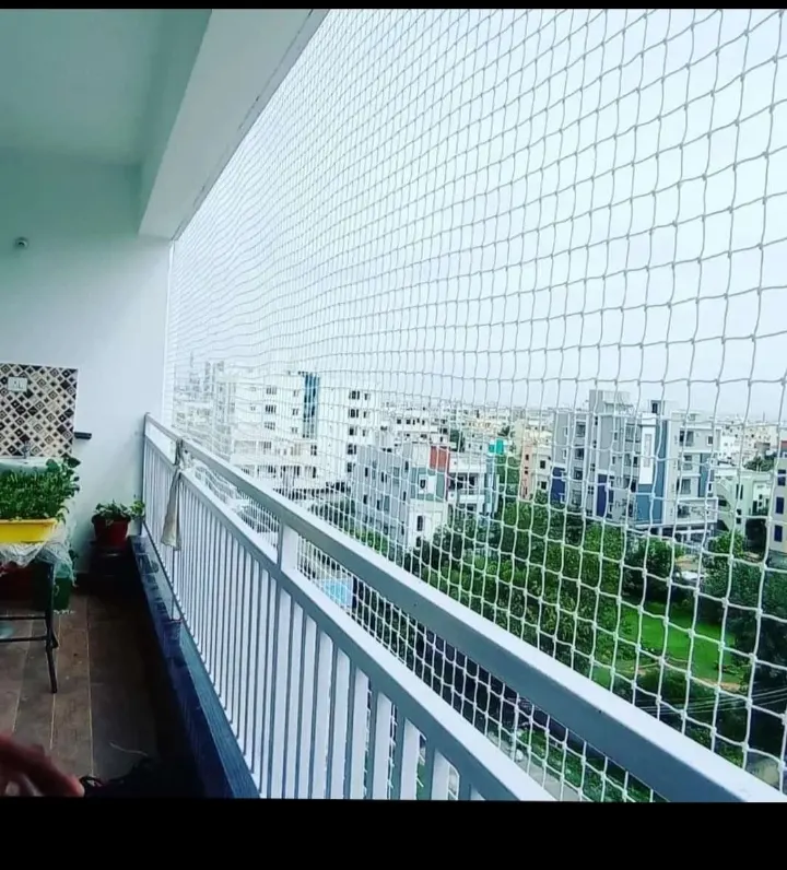 Anti Bird Nets product and installation service by Rohini Invisible Grills
